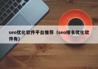 seo优化软件平台推荐（seo排名优化软件有）